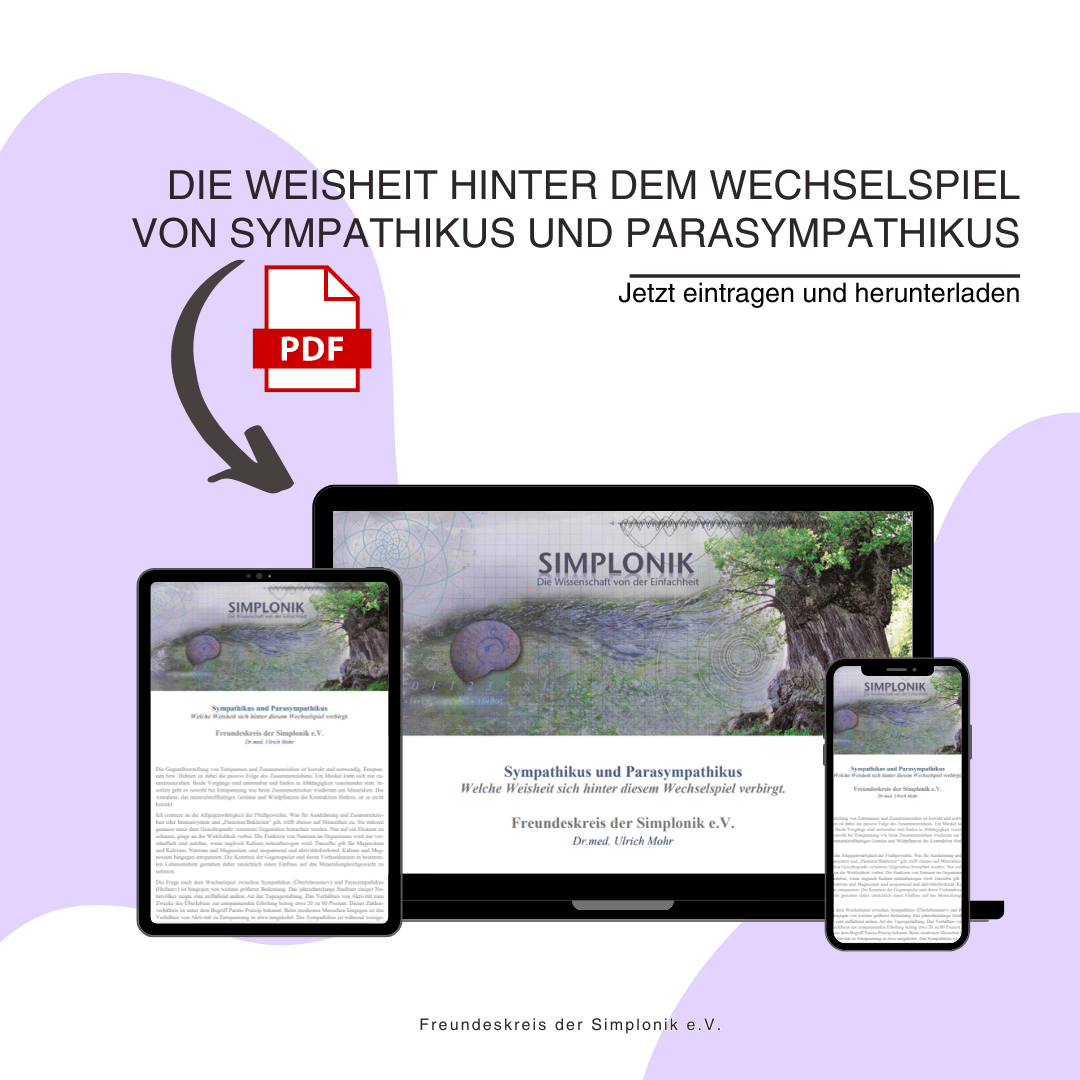 PARASYMPATHIKUS WIKIPEDIA visual data 6